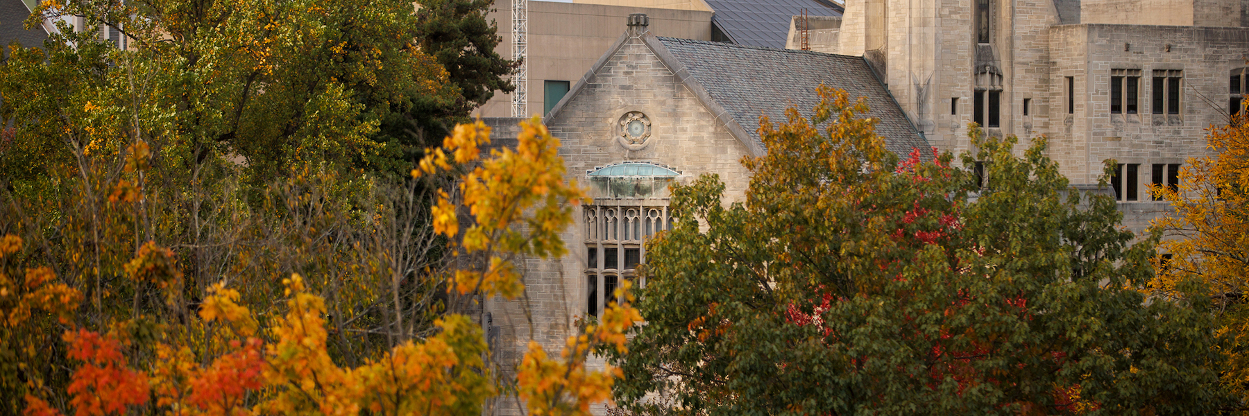 Image of Woodburn Hall through fall leaves.